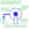 Brake Dyno Function Theory.gif (59268 bytes)